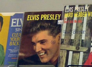 Elvis y la mirada de un coleccionista