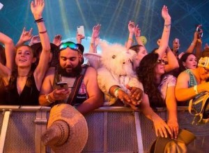 Mezcla de tendencia, vanguardia y artistas consagrados