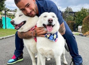 El conmovedor reencuentro de Maluma y sus mascotas: “Con mis bebés finalmente”