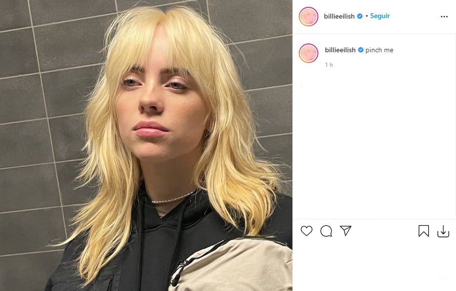 La artista cambió rotundamente su look. (Foto: Captura Instagram/@billieeilish)