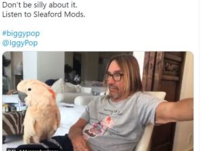 El loro de Iggy Pop sorprendió con su último baile y se volvió viral