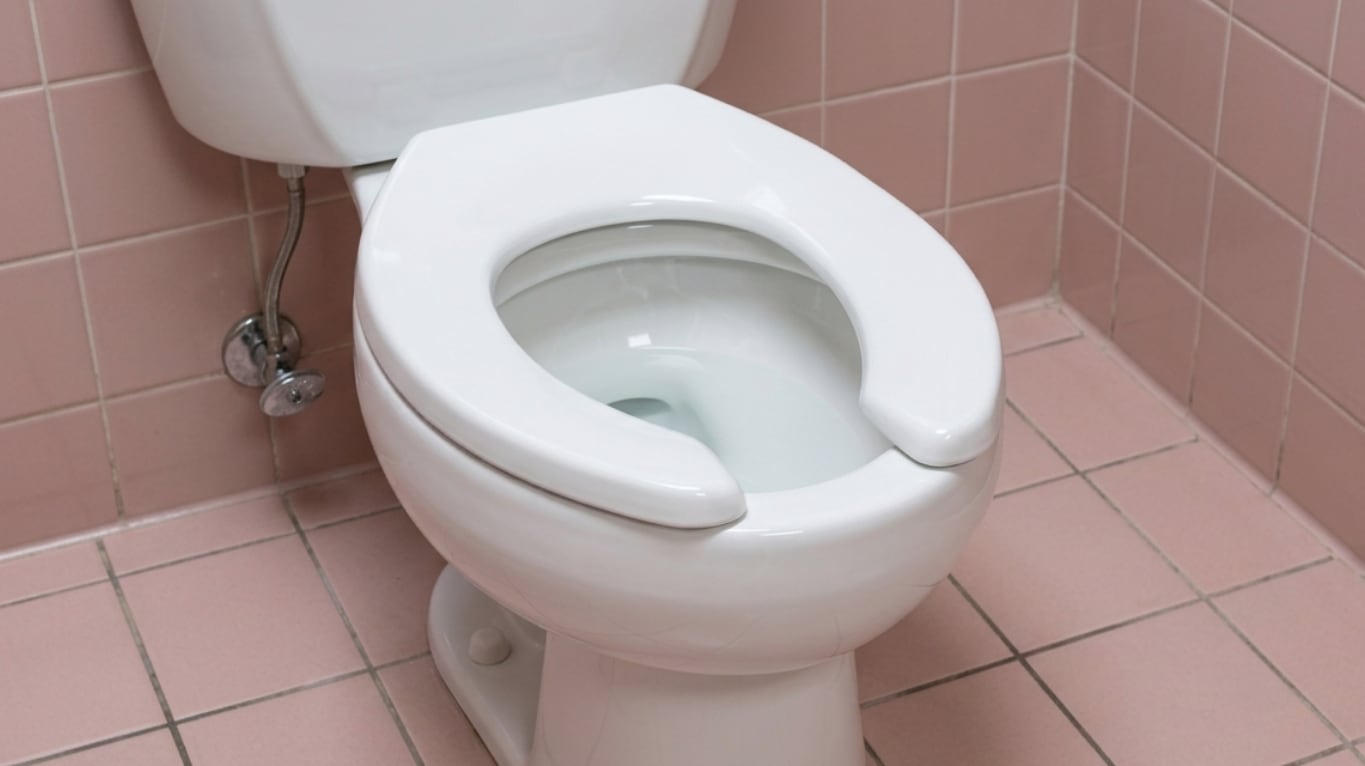 Esta abertura que tienen muchos asientos de inodoros en baños públicos cumple varias funciones relacionadas con la higiene, la comodidad y hasta la seguridad (Imagen creada con IA).