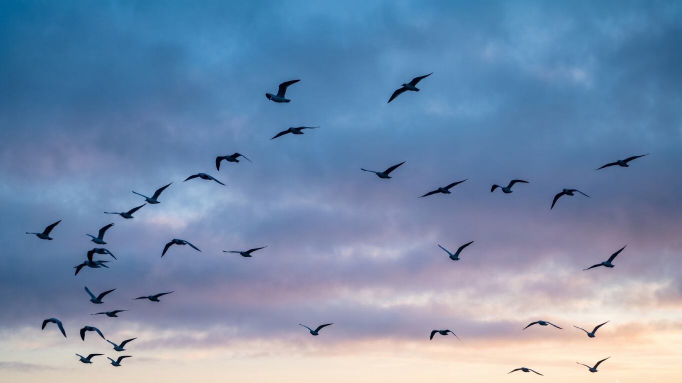 Qué significa este proverbio chino. (Foto: Imagen generada con IA-Gemini)