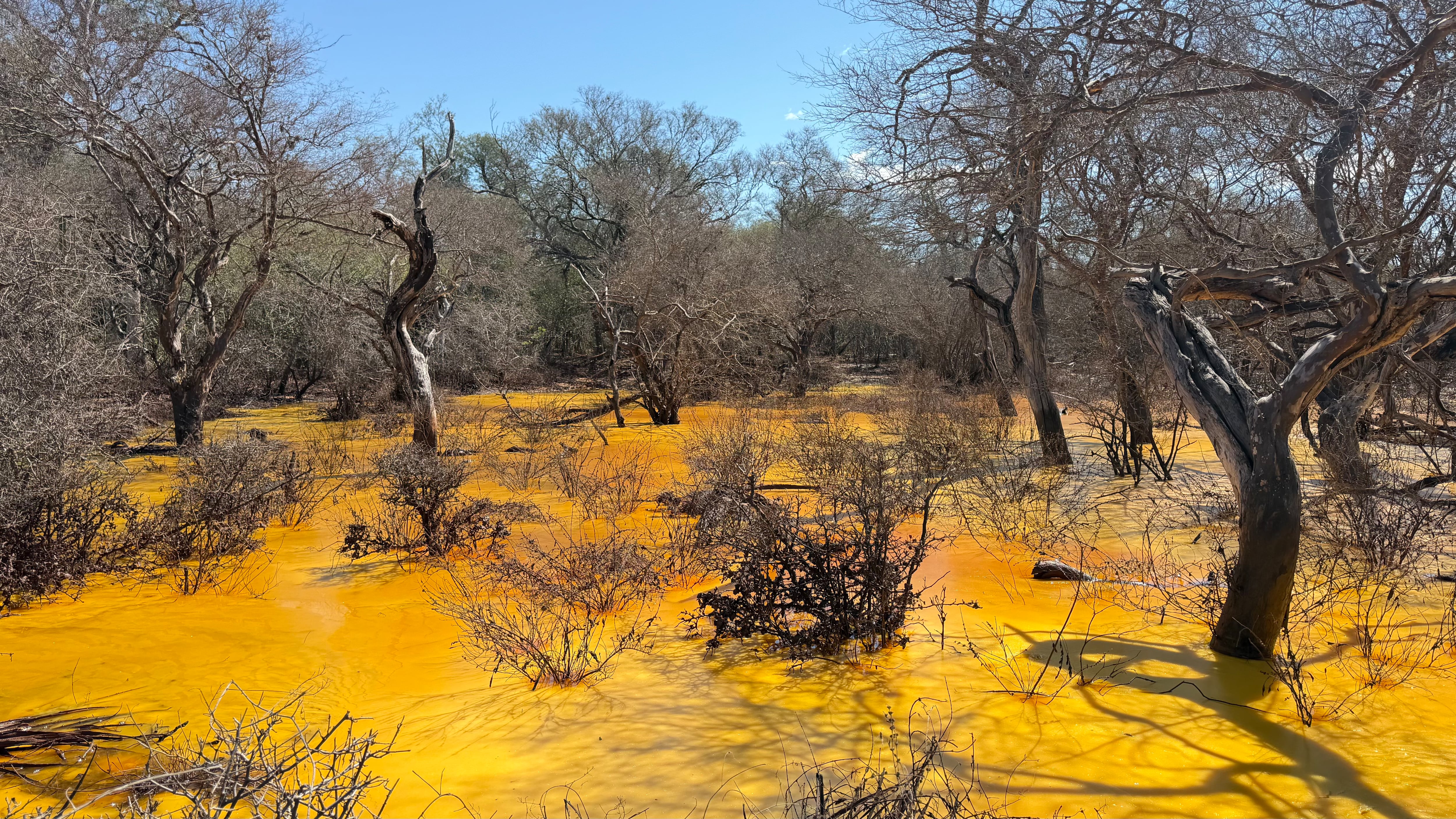 El líquido continúa brotando con una fuerza descomunal y alimenta unas lagunas tóxicas con una resina amarilla. (Foto: Jason Mayne/Eltrece).