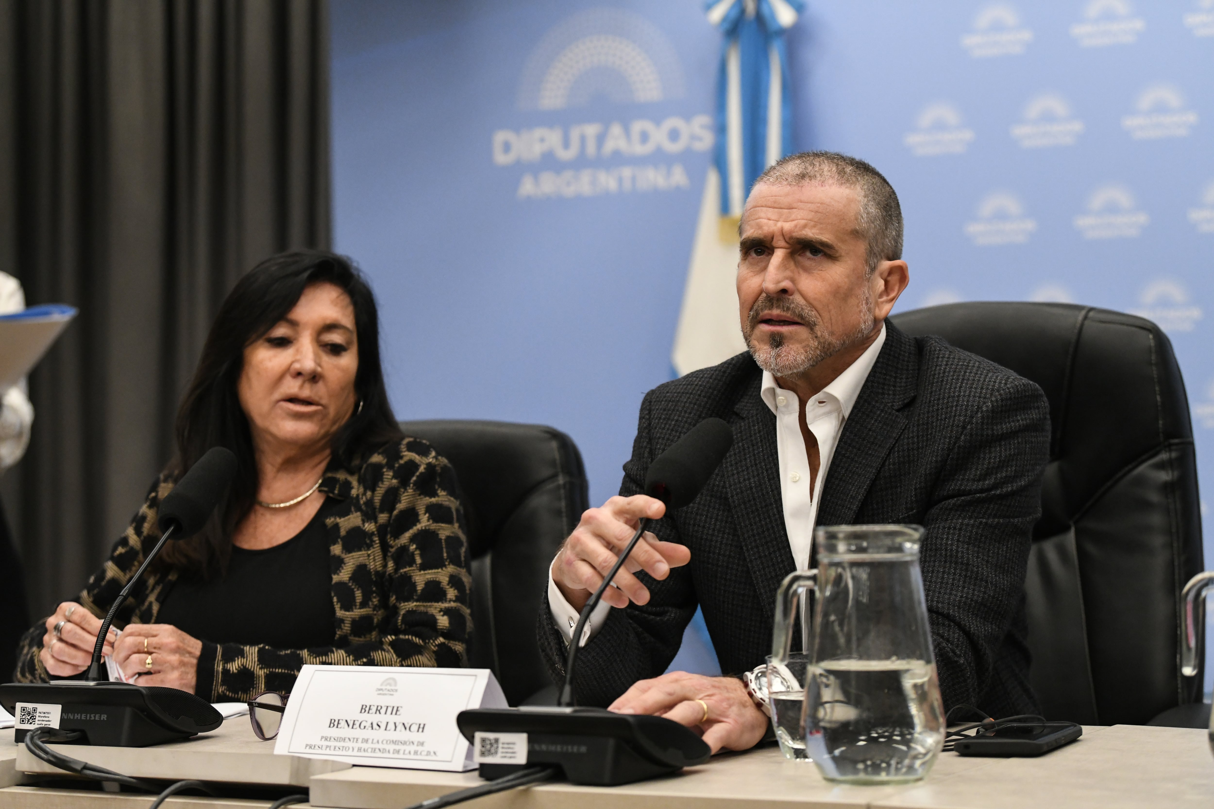 El diputado libertario Bertie Benegas Lynch encabezará los plenarios por el proyecto sobre la Soberanía en Malvinas. Foto: Cámara de Diputados